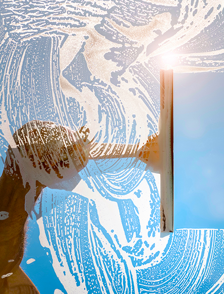 Window Washing Bloomfield